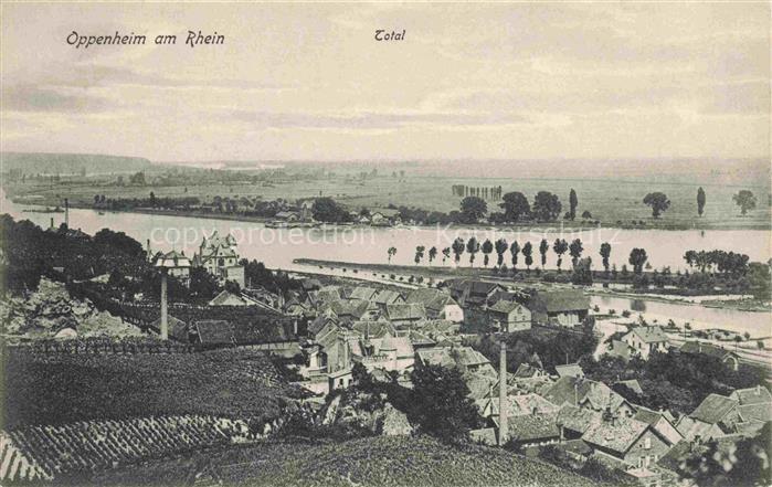 Oppenheim Rhein Rheinland-Pfalz Panorama Rheintal