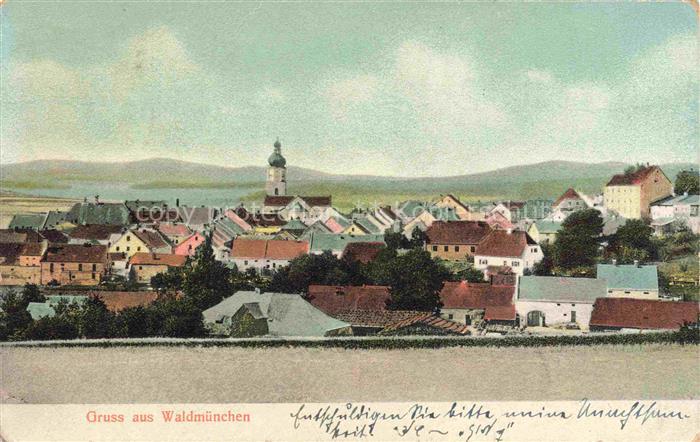 Waldmuenchen Cham Bayern Ansicht mit Kirche