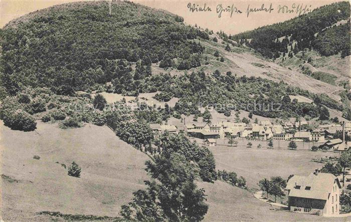 Todtnau Schwarzwald BW Panorama