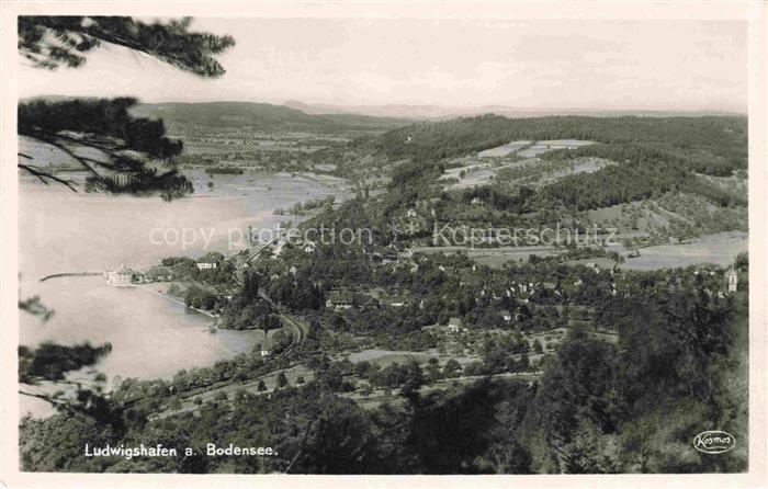 Ludwigshafen Bodman-Ludwigshafen Bodensee Panorama