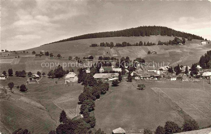 Todtnauberg Schwarzwald BW Panorama Luftkurort