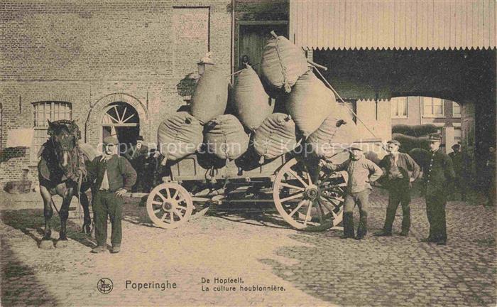 Poperinghe Poperinge West-Vlaanderen Belgie La culture houblonnière