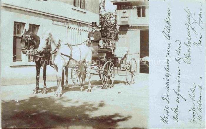 Frankenberg  Sachsen Pferdekutsche