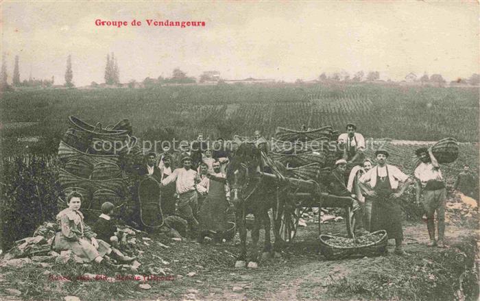 Wein Wine Vin Vino-- Groupe Vendangeurs