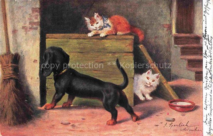 Dackel Dachshund Teckel Hunde dogs Chiens Cani Katzen Litho