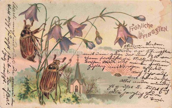 Marienkaefer Ladybug Coccinelle Mariquita Coccinella-- Pfingsten Glockenblumen L