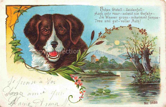 HUNDE dogs chiens-- Neufundlaender Litho