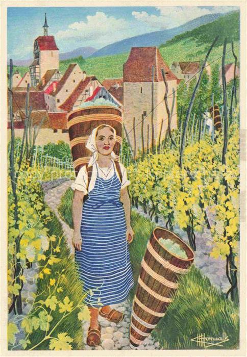 HOMUALK Charles (1909-1996) Kuenstlerkarte Riquewhir Reichenweiler Vignobles de