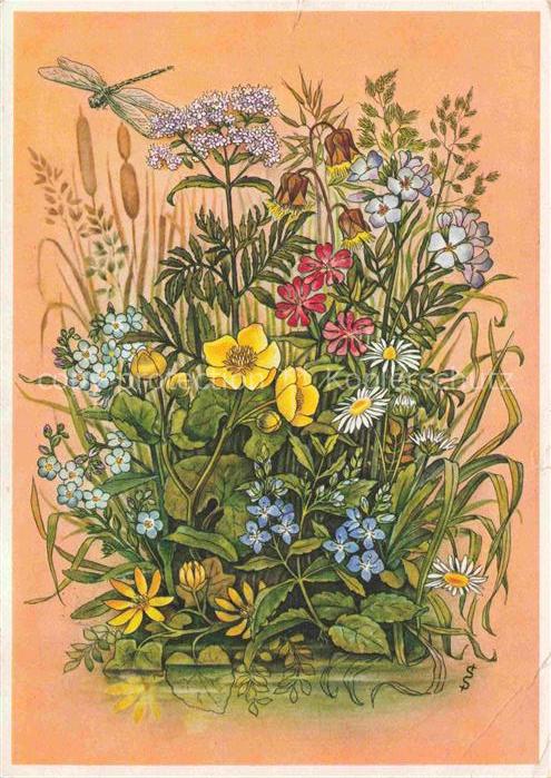 LAGA Landesgartenschau Stuttgart Blumen am Wasser