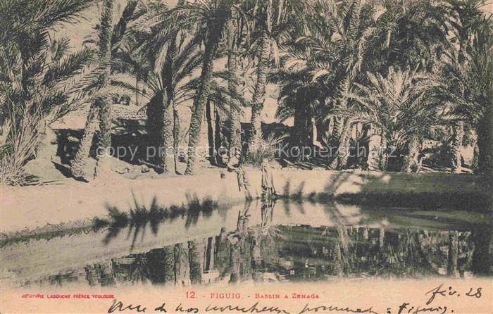 Figuig Maroc Bassin à Zenaga