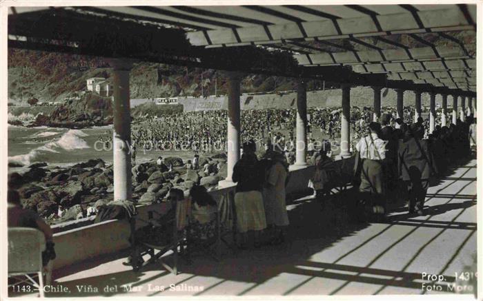Vina Del Mar Valparaiso Chile Las Salinas