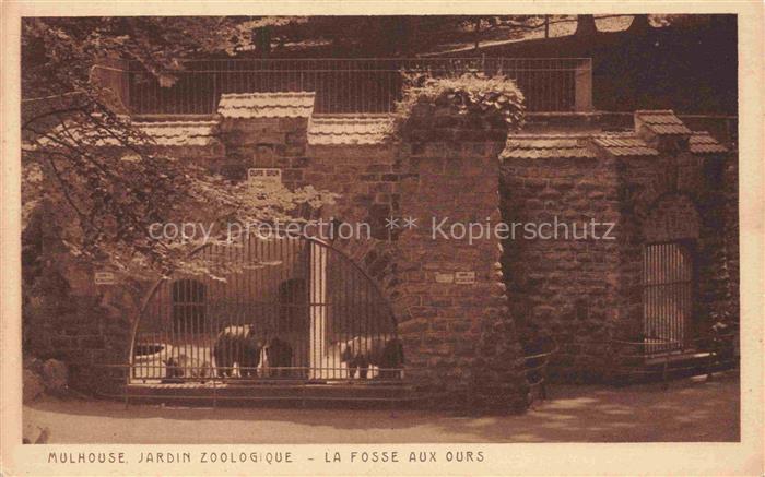 MULHOUSE Muehlhausen 68 Haut-Rhin Jardin Zoologique La fosse aux ours