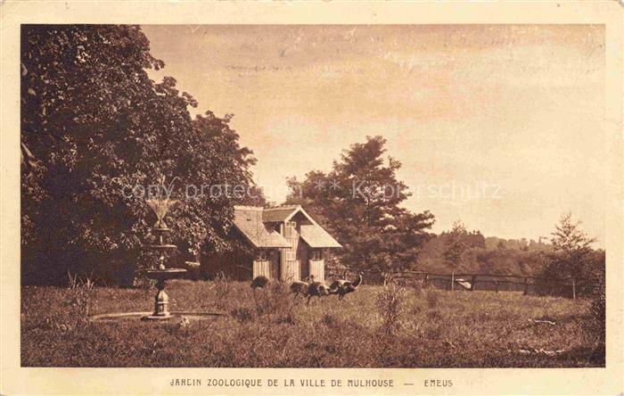 MULHOUSE Muehlhausen 68 Haut-Rhin Jardin Zoologique