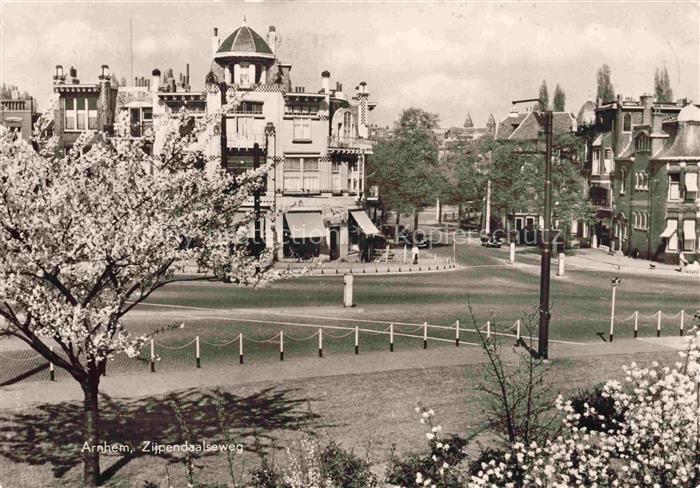 Arnheim Arnhem NL Zijpendaalseweg Baumbluete
