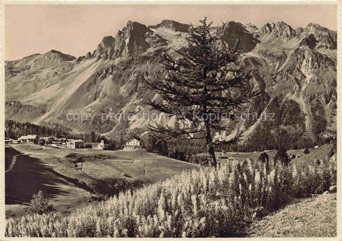 Fex Crasta Panorama Blick gegen Lagrev-Gruppe