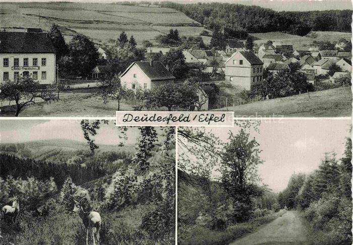 Deudesfeld Vulkaneifel Rheinland-Pfalz Teilansicht Waldweg Landschaftspanorama R