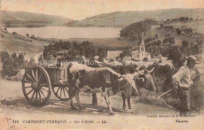 Clermont-Ferrand 63 Vue panoramique Lac d'Aydat Ochsenkarren
