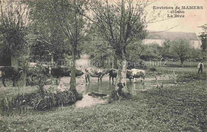 MAMERS 72 Sarthe La Dive