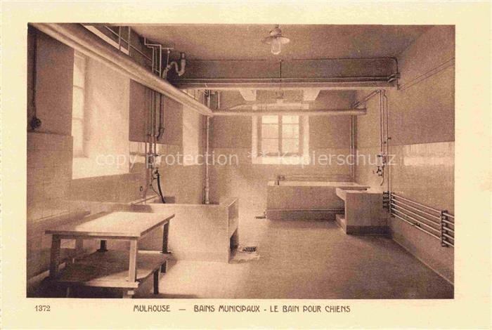 MULHOUSE Muehlhausen 68 Haut-Rhin Bains Municipaux le bain pour chiens