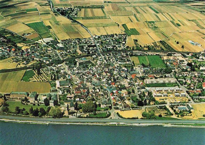 Erbach Rheingau Eltville Hessen Fliegeraufnahme