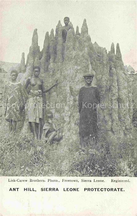 Freetown  Sierra Leone Ant Hill Sierra Leone Protectorate