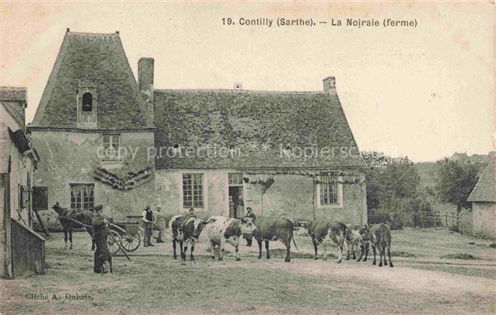 Contilly MAMERS 72 Sarthe La Nojraie ferme