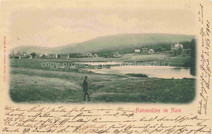 Hahnenklee-Bockswiese Harz Panorama