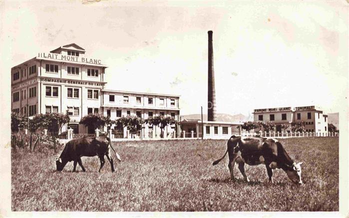 Rumilly Annecy 74 Haute-Savoie Usine de Lait Mont Blanc des vaches