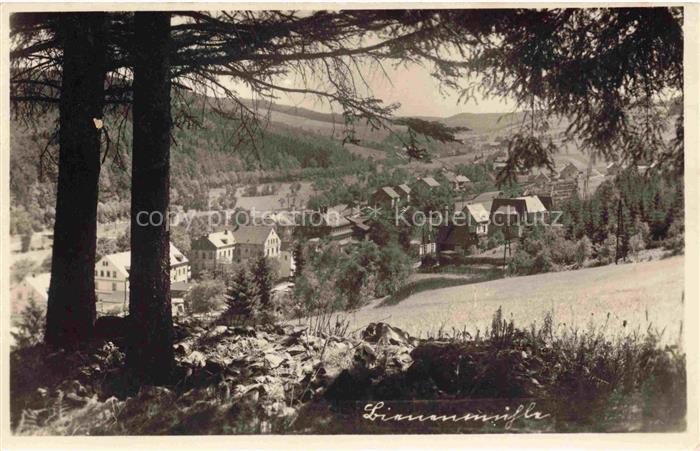 Bienenmuehle Rechenberg Osterzgebirge Sachsen Ansicht vom Waldrand aus