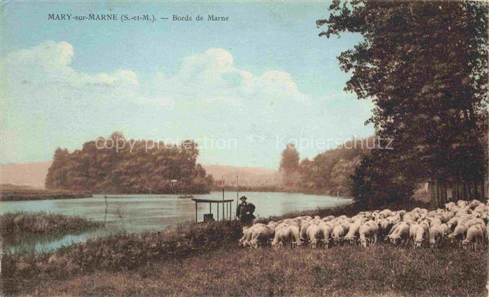Mary-sur-Marne 77 Seine-et-Marne Aux bords de la Marne des moutons