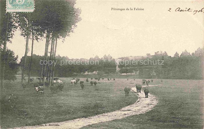 La Faloise Montdidier 80 Somme Pâturage