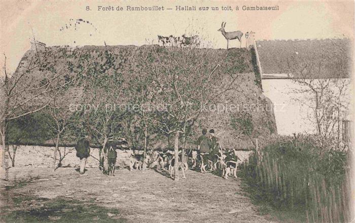 Gambaiseuil Hallali sur un toit Forêt de Rambouillet
