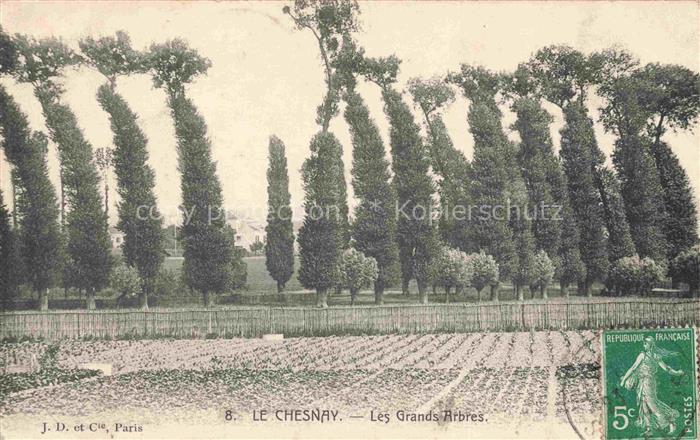 Le Chesnay Versailles 78 Yvelines Les grands Arbres