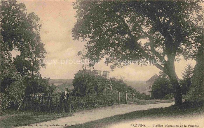 PROVINS 77 Seine-et-Marne Vieilles Murailles et le Pinacle