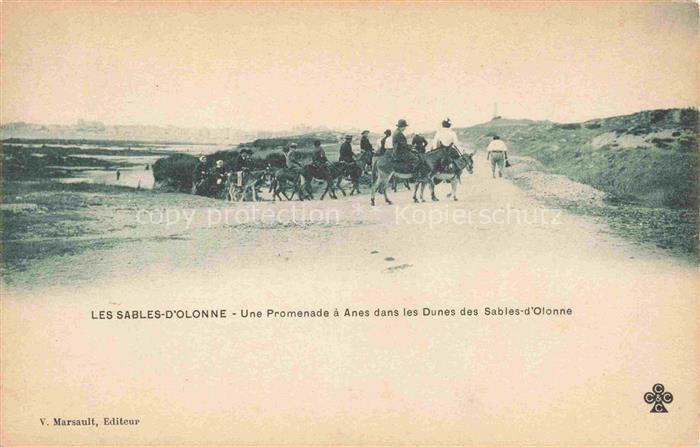 Les Sables-d Olonne 85 Une promenade à ânes dans les dunes