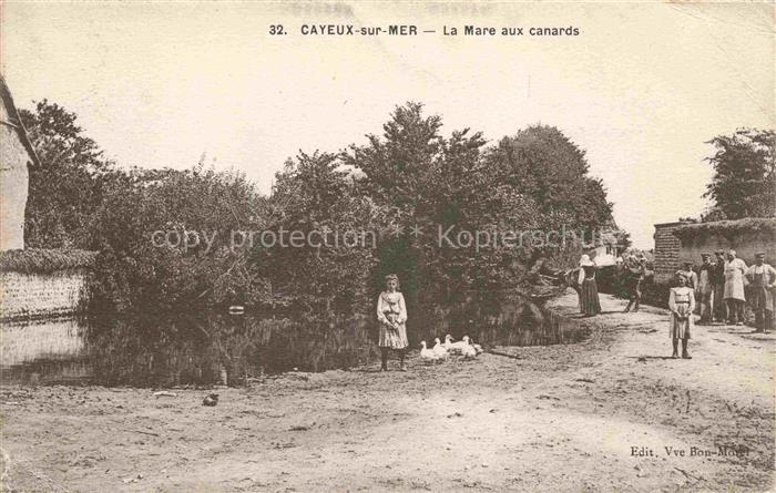 CAYEUX -SUR-MER Abbeville 80 Somme La Mare aux canards