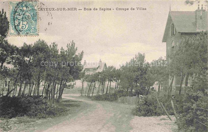 CAYEUX -SUR-MER Abbeville 80 Somme Bois de sapins groupe de villas