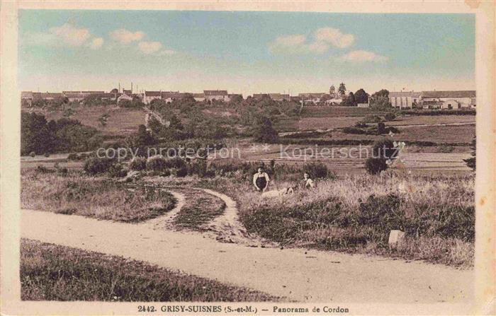 Grisy-Suisnes MELUN 77 Seine-et-Marne Panorama de Cordon