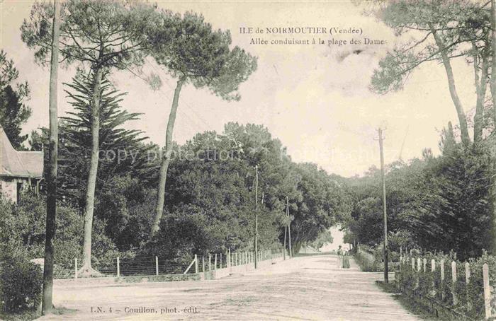 Ile-de-Noirmoutier Sables-d Olonne 85 Vendee Allée conduisant à la plage des dam