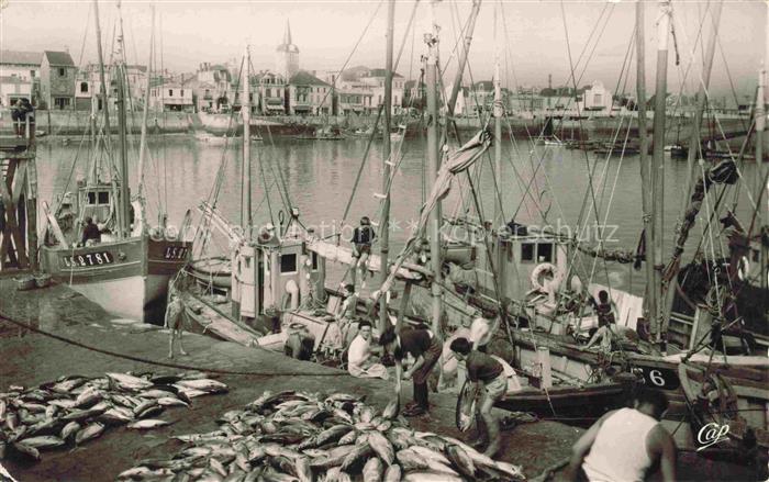 Les Sables-d Olonne 85 Le Port Débarquement du Thon