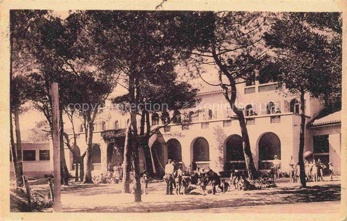 Giens Hyeres TOULON 83 Var Residence La Pinéde