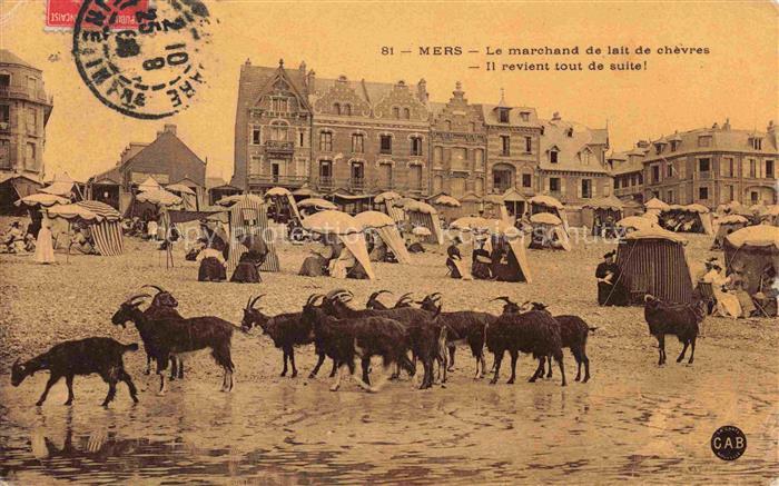 MERS-LES-BAINS MERS-SUR-MER Abbeville 80 Somme Marchand de lait de chèvres