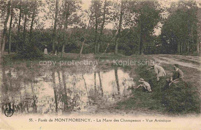 Foret de Montmorency 95 Val-d Oise La Mare des Champeaux vue artistique