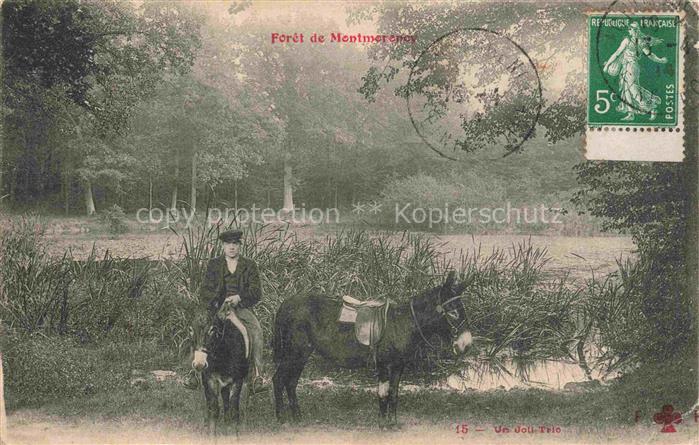 Foret de Montmorency 95 Val-d Oise Une promenade avec des ânes