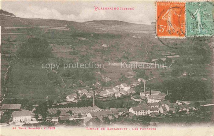 Plainfaing Saint-Die 88 Vosges Tissage de Habeaurupt Les Fougères