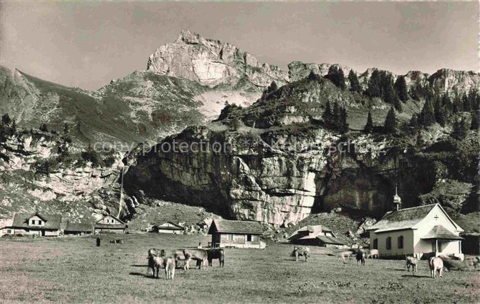 Bruenighaupt 2314m Sachseln OW Alp Aelggi