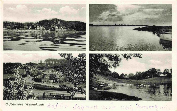 Tesperhude Elbe HAMBURG Teilansichten Luftkurort an der Oberelbe