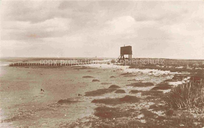 Norderoog (Hallig) Nordfriesland Schleswig-Holstein Schutzhuette und Strand Voge