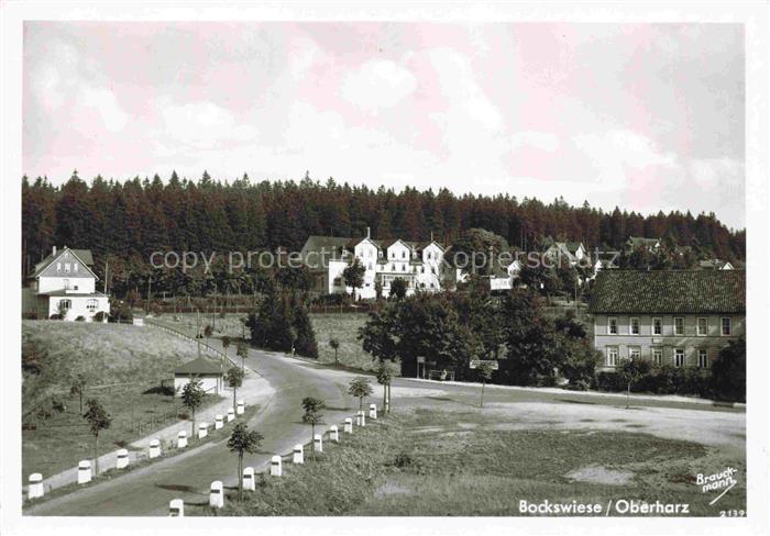 Bockswiese-Hahnenklee Harz Teilansicht