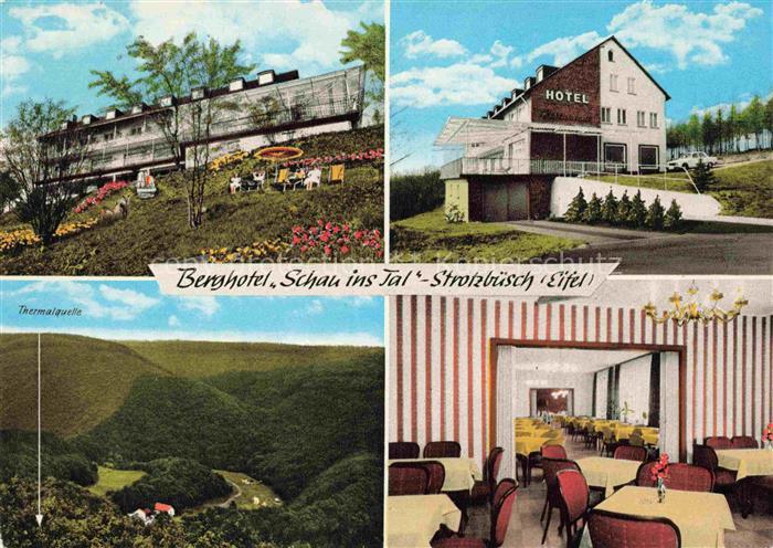 Strotzbuesch Vulkaneifel Rheinland-Pfalz Berghotel Schau ins Tal Garten Restaura